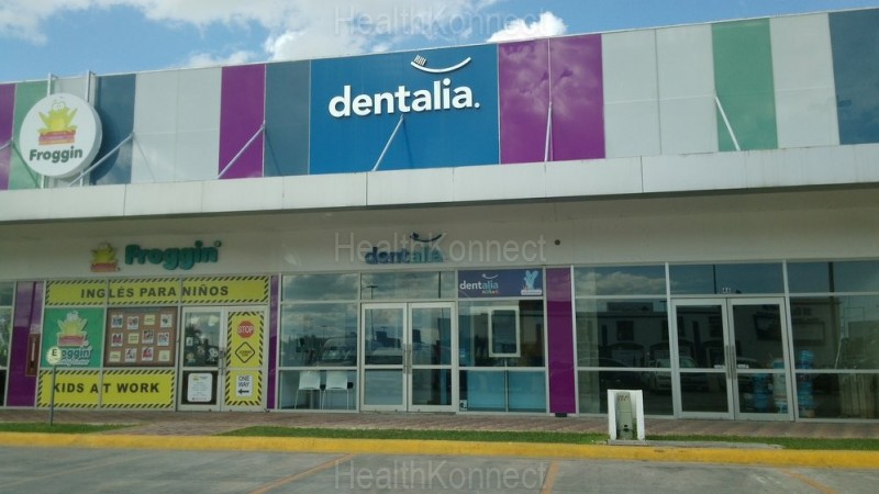 Dentalia Photo